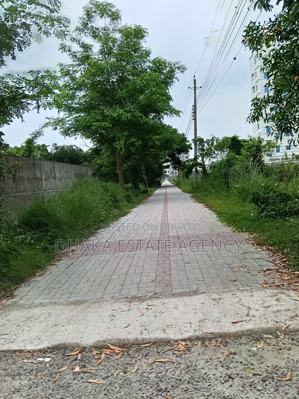 Block-N, South Facing 5 Katha Plot near Central Mosque in Basundhara