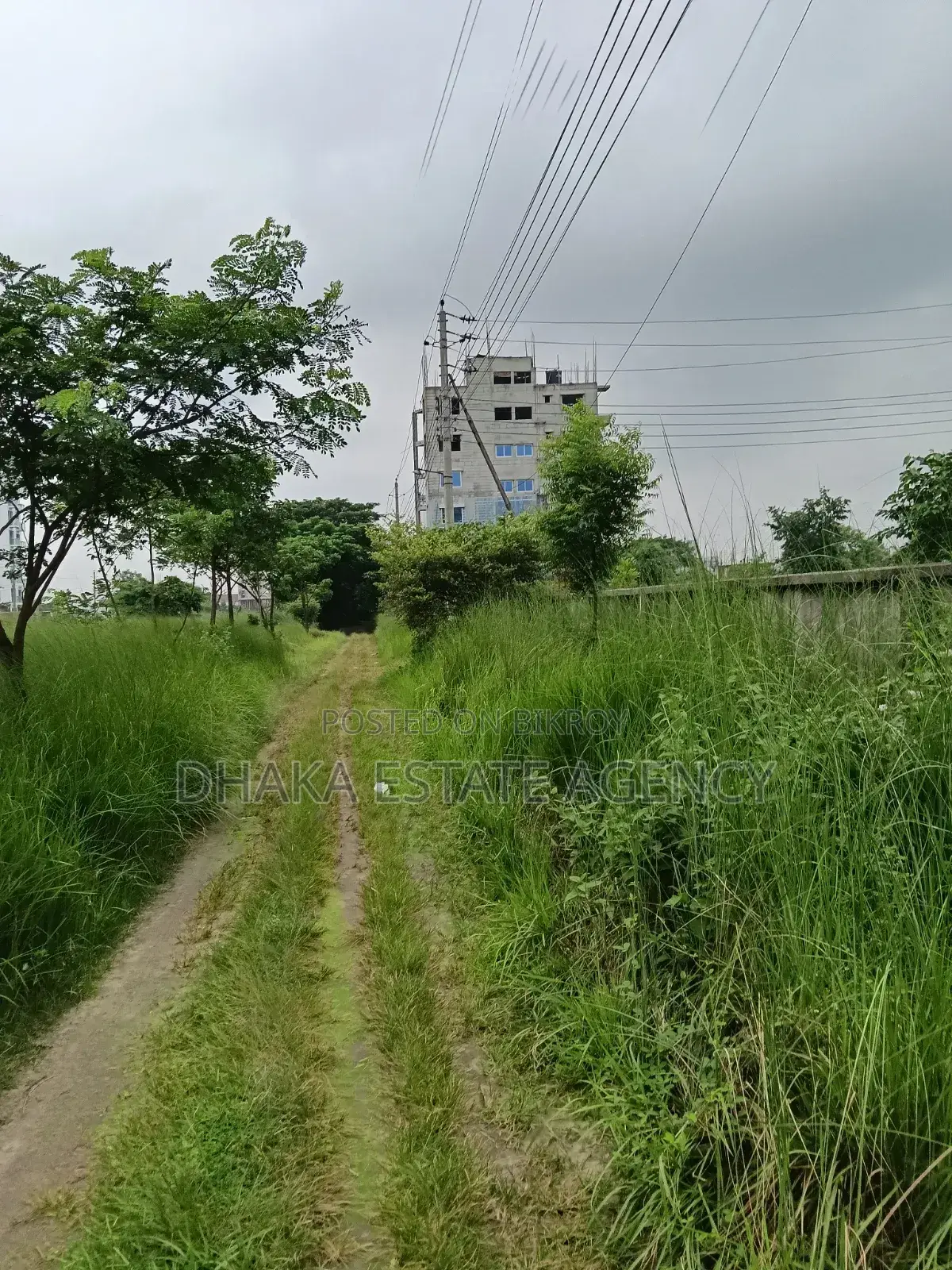Block-N, South Facing 5 Katha Plot near Central Mosque in Basundhara