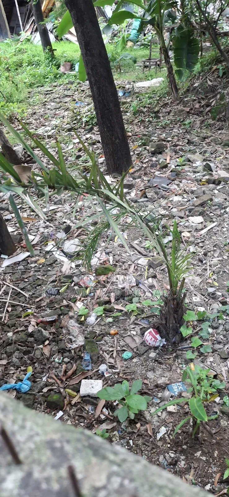 Ownership transfer of 3 katha plot in "South Town" at a low price. in Keraniganj