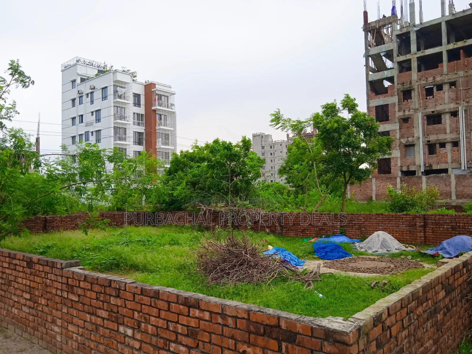 South Facing Lake View Plot for Sale in Bashundhara N Block in Basundhara