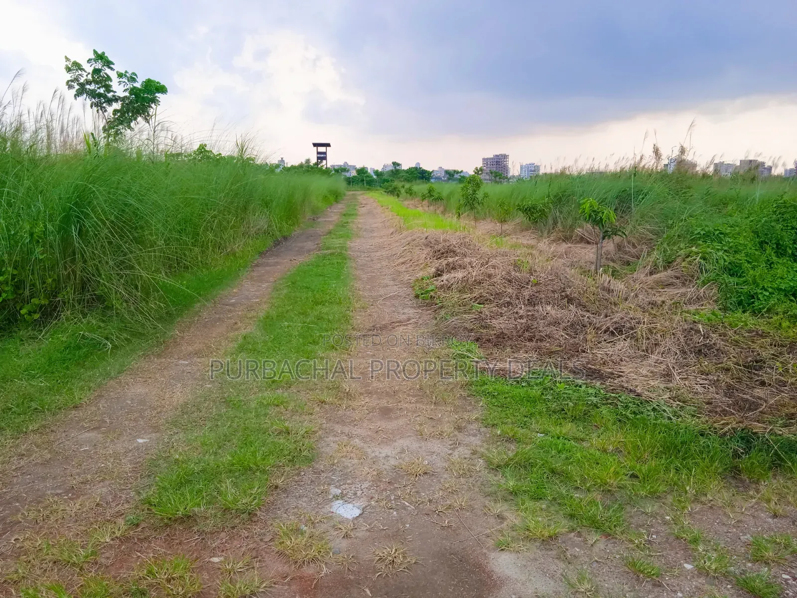 Bashundhara M Block South-facing 4 Katha Premium Plot for Sale in Basundhara
