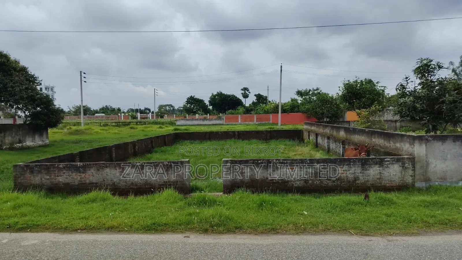 5 katha plot for urgent need on a low budget in Sector 11. in Purbachal