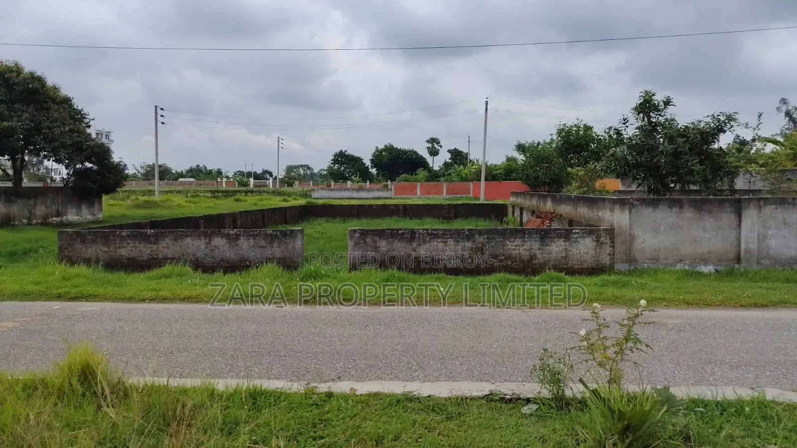 5 katha plot for urgent need on a low budget in Sector 11. in Purbachal