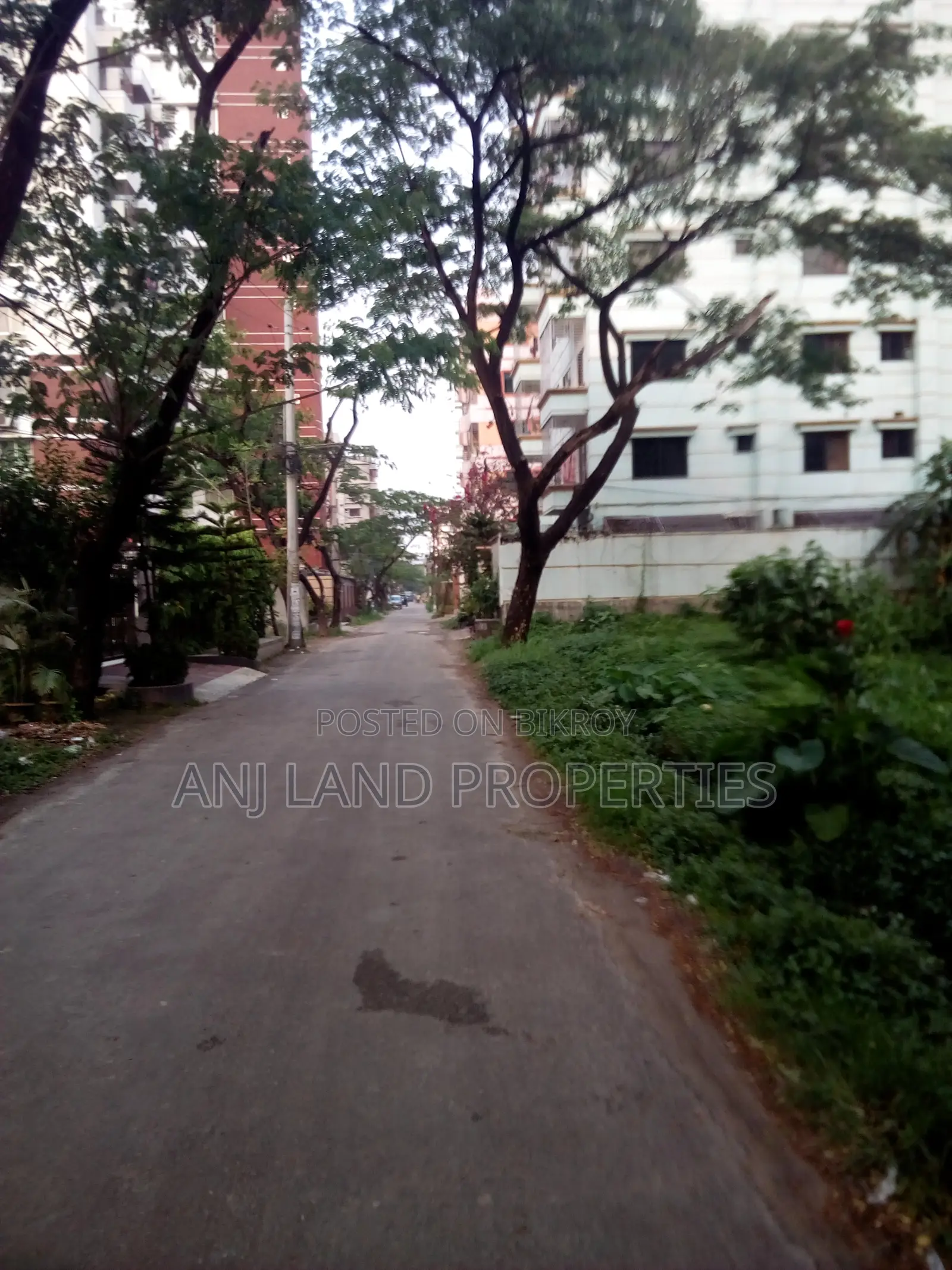 G-Block 3+3=6 Katha South Facing Plot For Sale, Owner Urgent Abroad in Basundhara