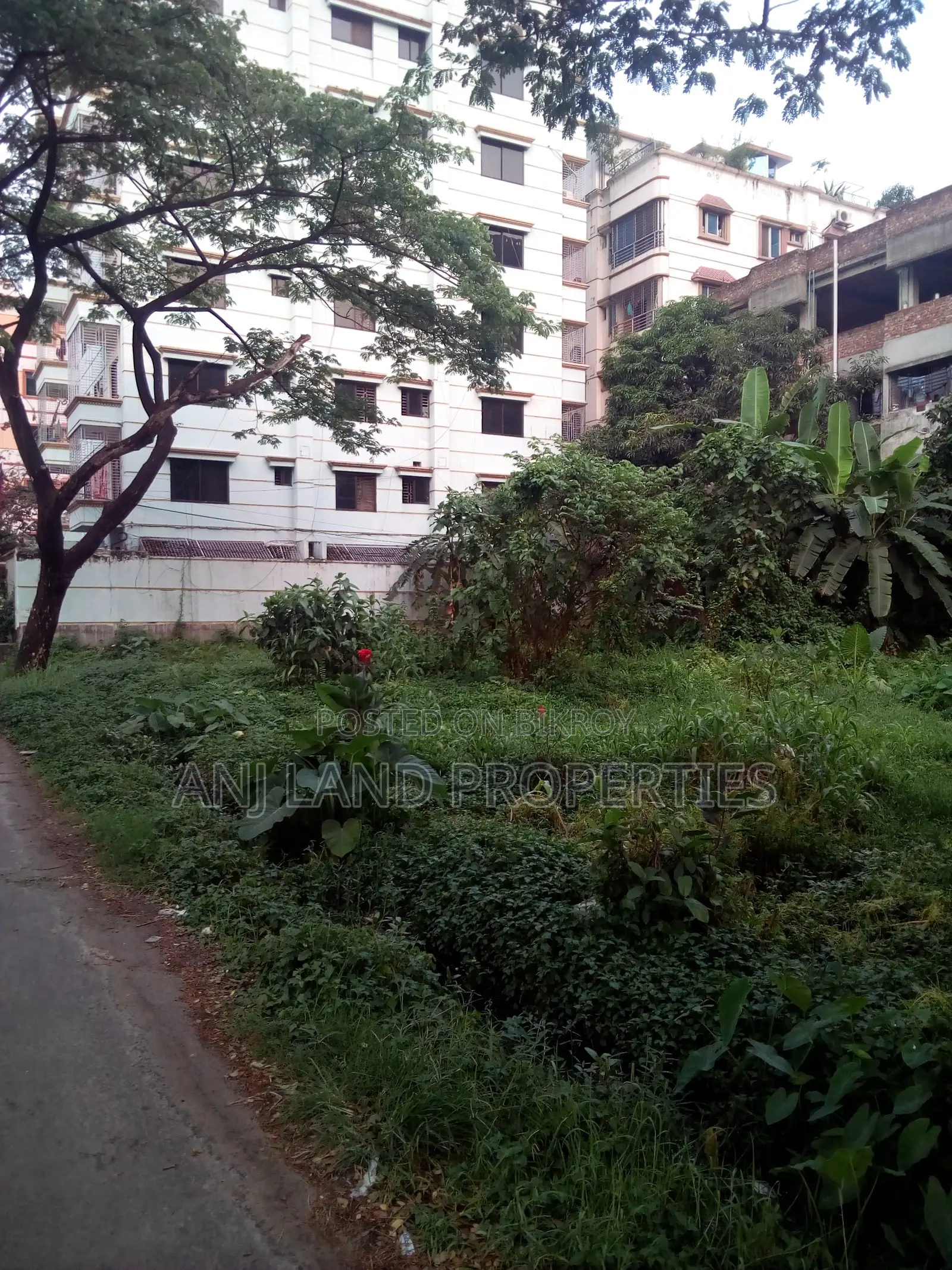 G-Block 3+3=6 Katha South Facing Plot For Sale, Owner Urgent Abroad in Basundhara