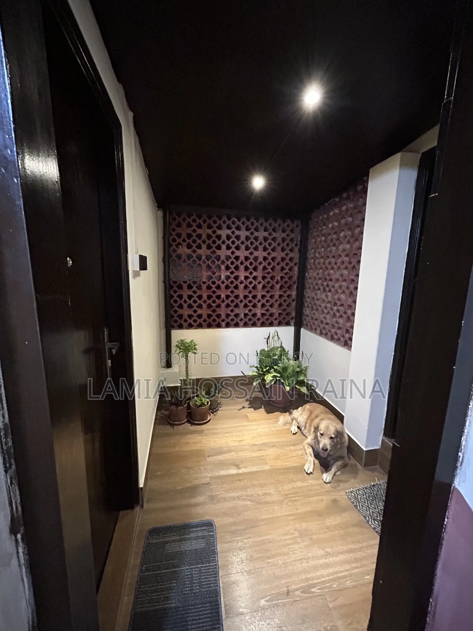 Furnished Mini Flat in the Little Loft, Baridhara DOHS for Rent in Baridhara DOHS