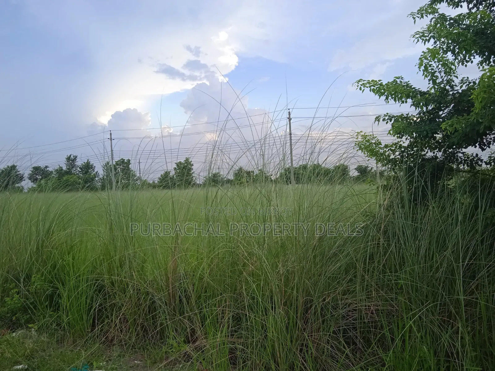 3 Katha plot for sale in Bashundhara P-Ext block in Basundhara