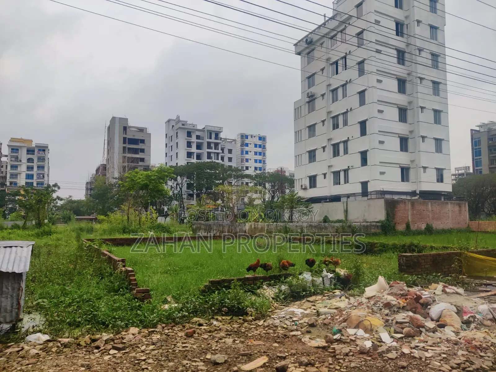 K Block 5 Katha Lake View Plot Sell in Basundhara