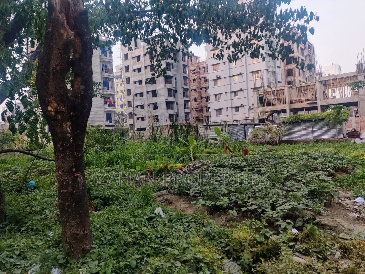 Front Road 50 Ft I Block 20 Katha Plot Sell in Basundhara