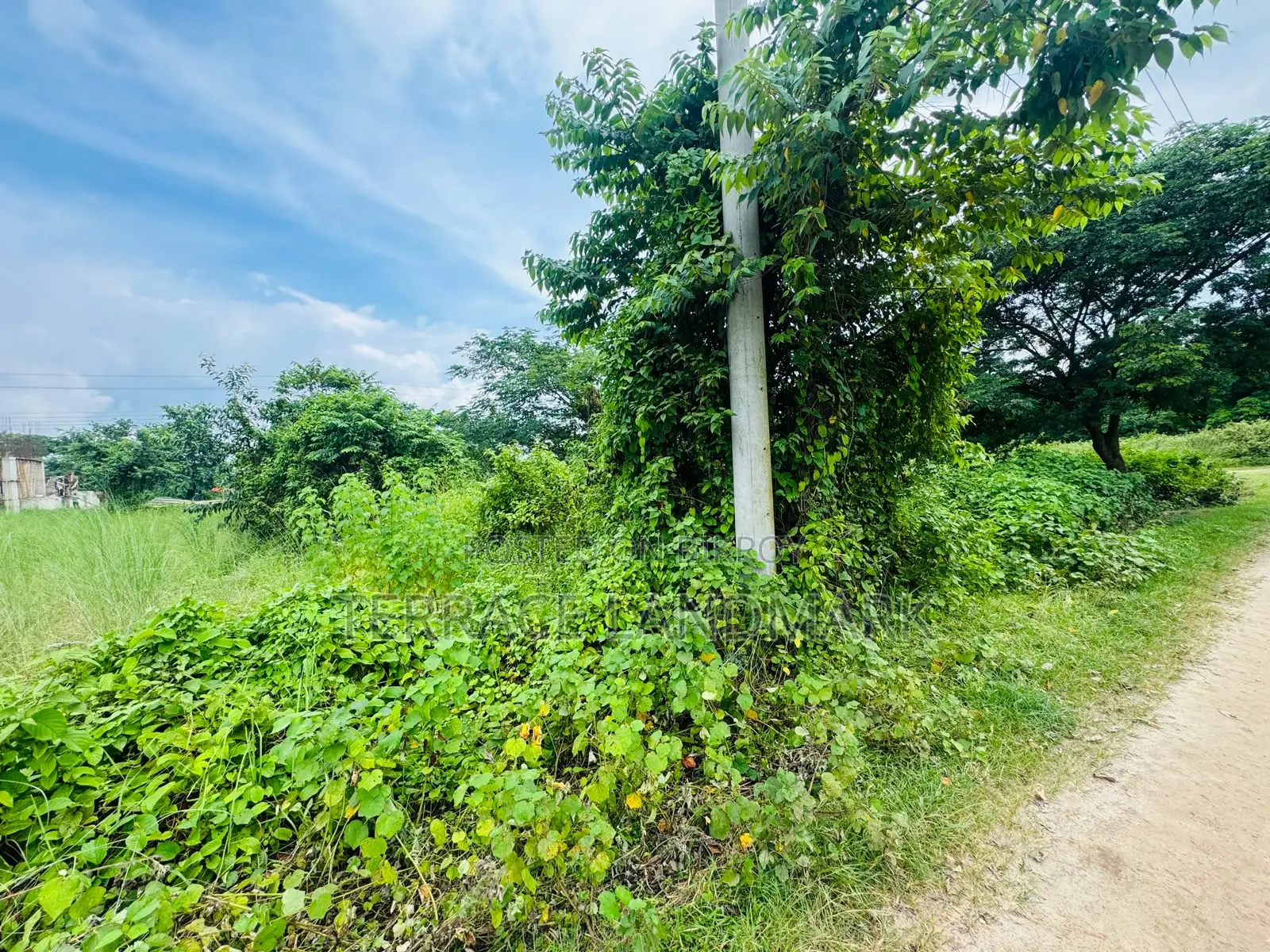 Huge 21.5 Katha Plot Near Central Masjid in Basundhara