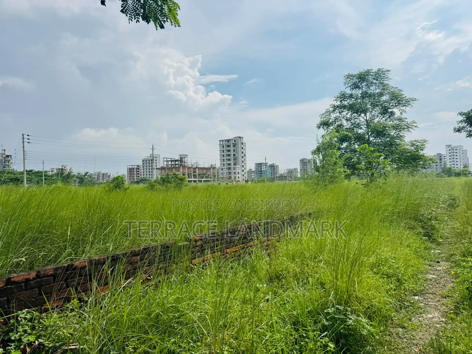 Huge 21.5 Katha Plot Near Central Masjid in Basundhara