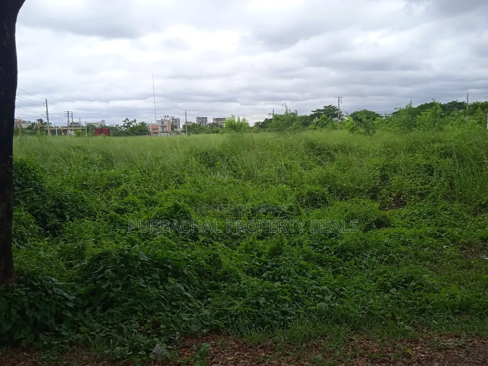 North-facing 4 Katha Prime Plot for Sale in Bashundhara Block P in Basundhara