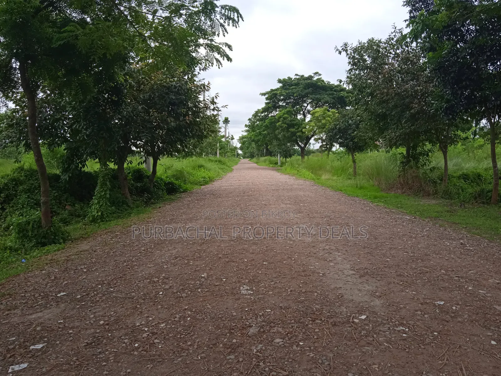 North-facing 4 Katha Prime Plot for Sale in Bashundhara Block P in Basundhara