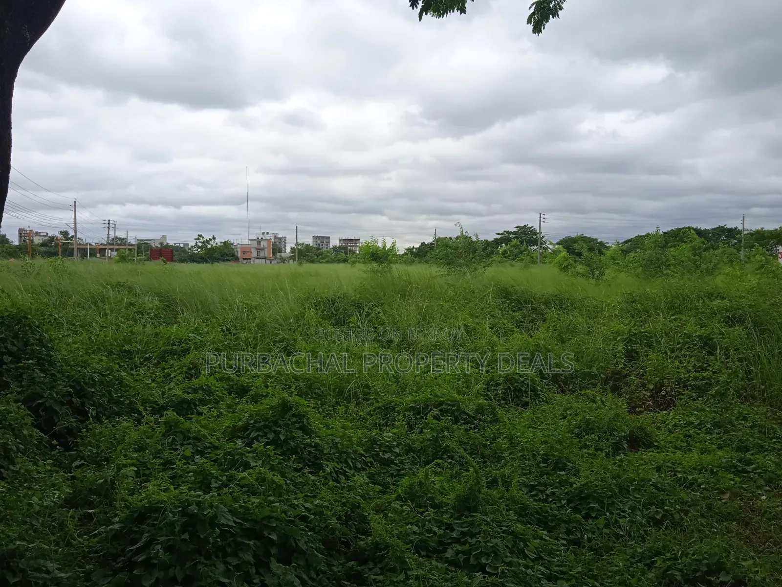 North-facing 4 Katha Prime Plot for Sale in Bashundhara Block P in Basundhara