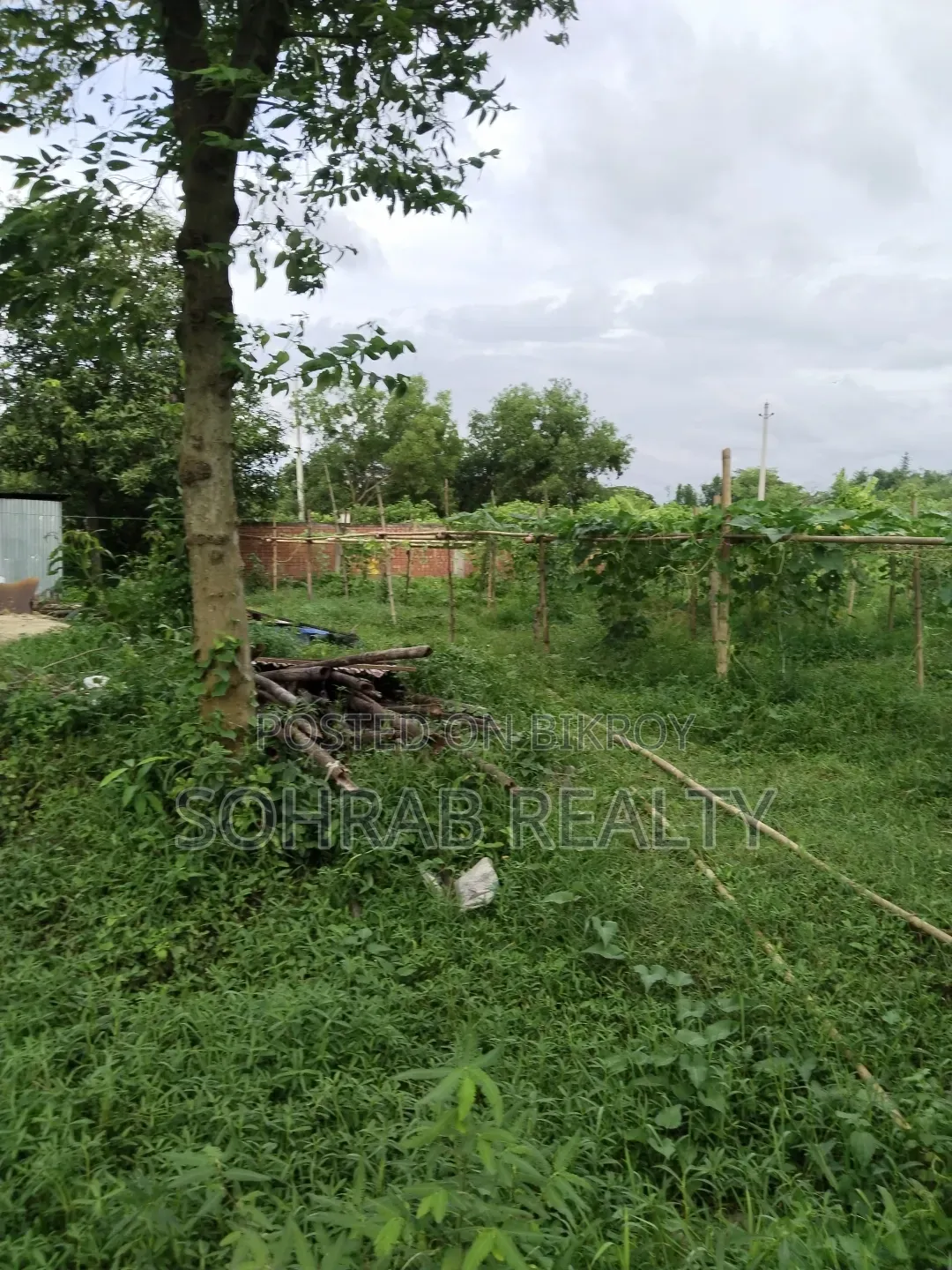 5 Katha Plot Purbachal Sector -20 in Purbachal