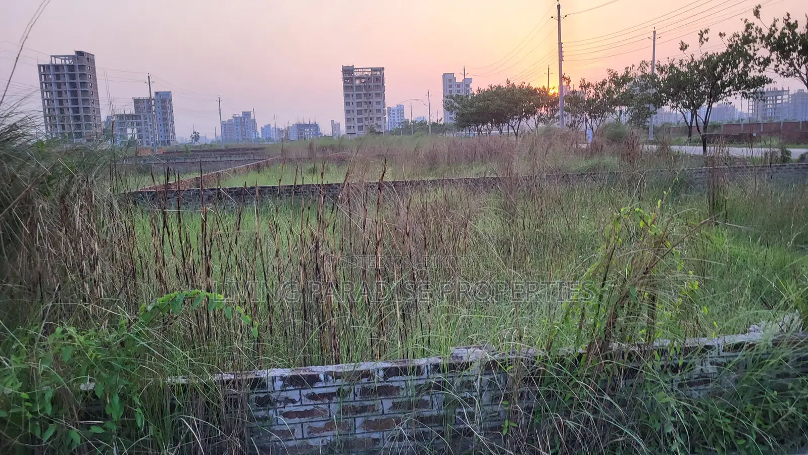 M-Block || North Face || 5 Katha Ready Plot || Bashundhara R/A in Basundhara