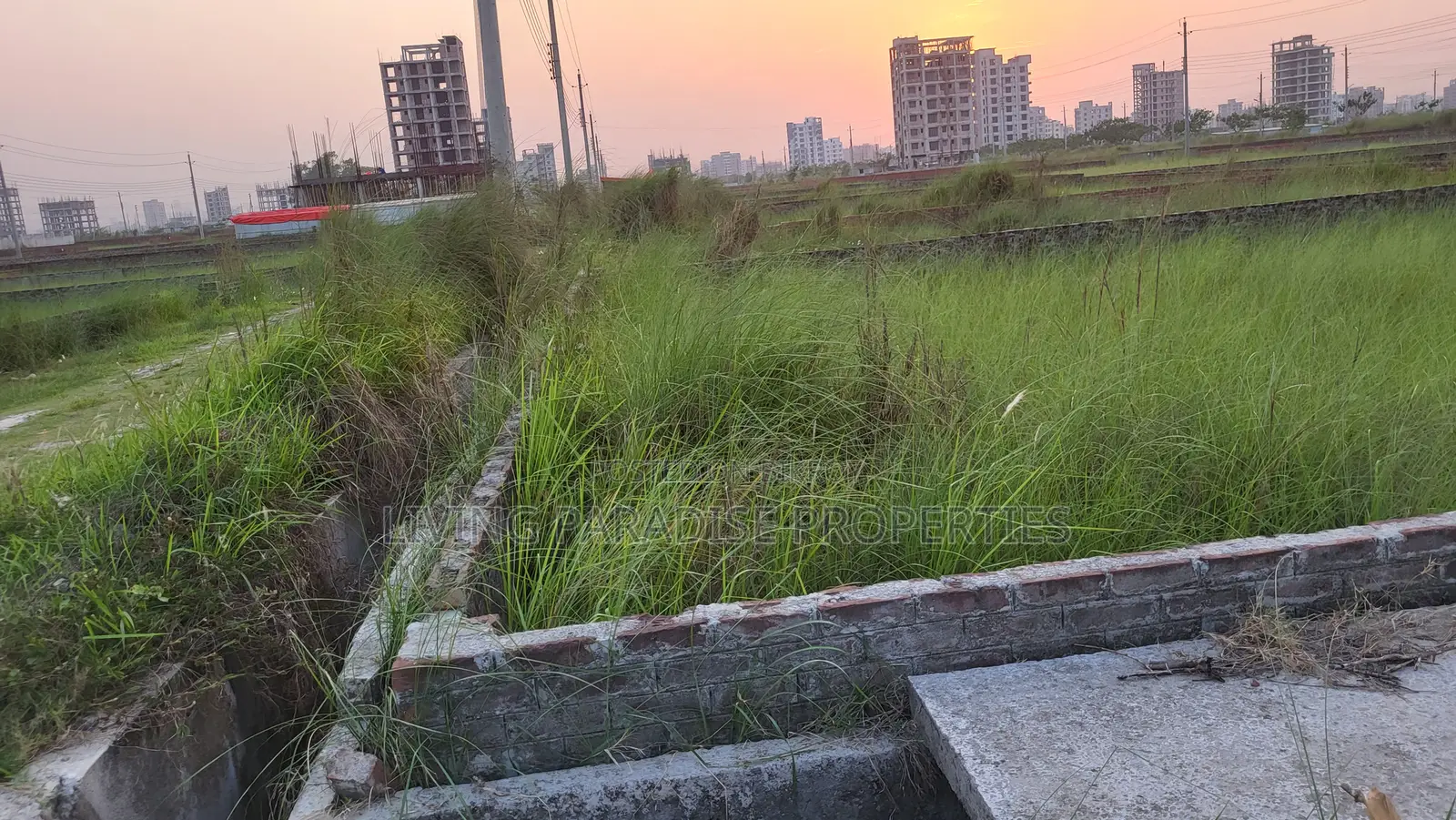 M-Block || North Face || 5 Katha Ready Plot || Bashundhara R/A in Basundhara