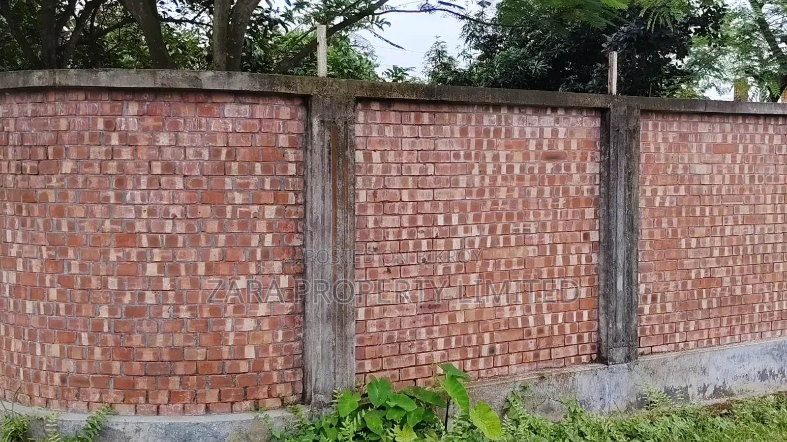 Low budget plot in Sector 28. South-facing 3 Katha. in Purbachal