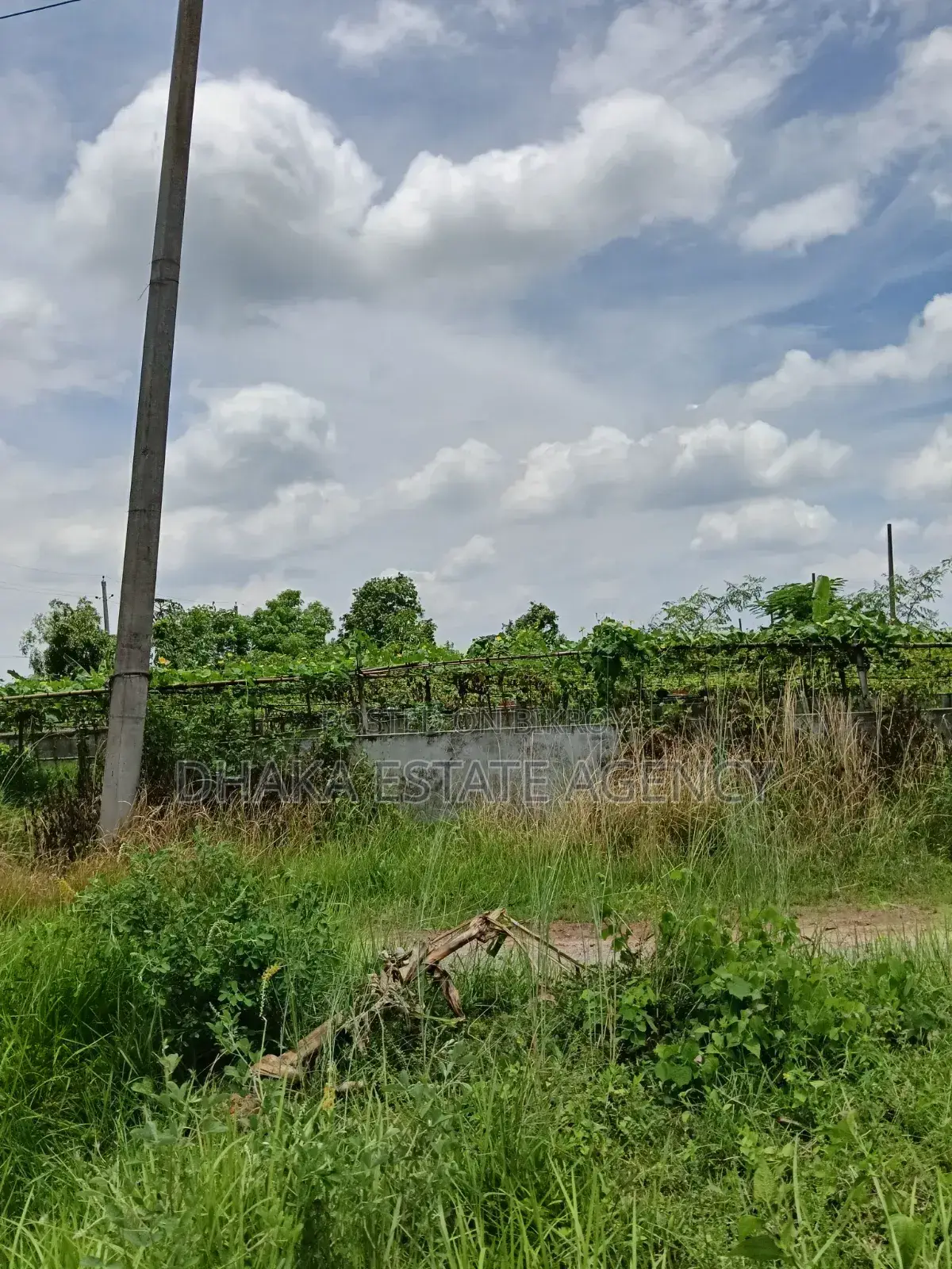 Sector-21, Road-315, Land-3 Katha in Purbachal