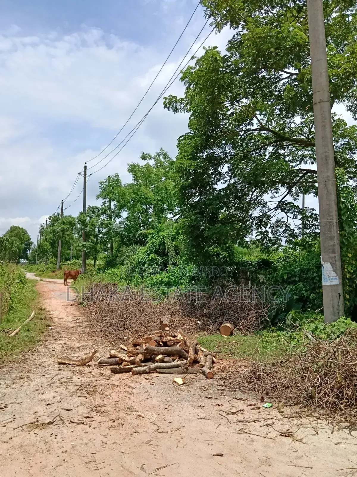 Sector-21, Road-315, Land-3 Katha in Purbachal