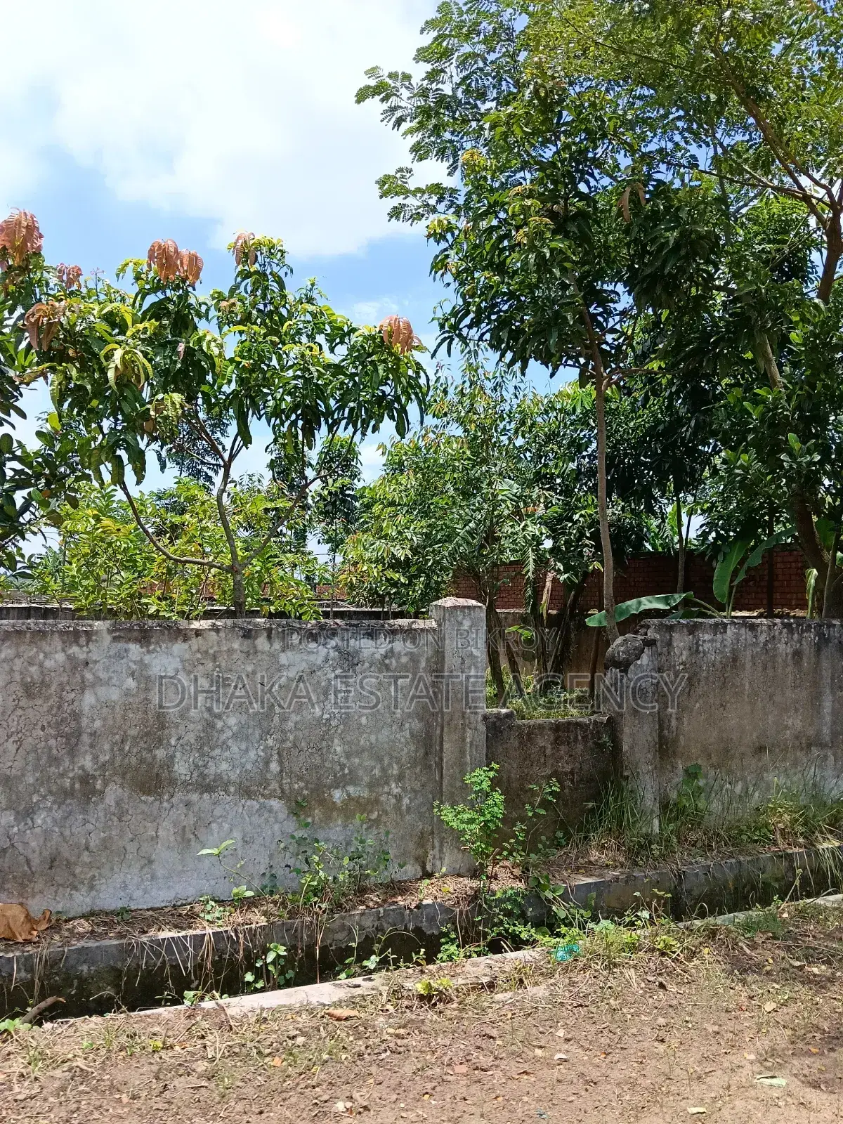 Sector-23, Box Corner 3 Katha in Purbachal
