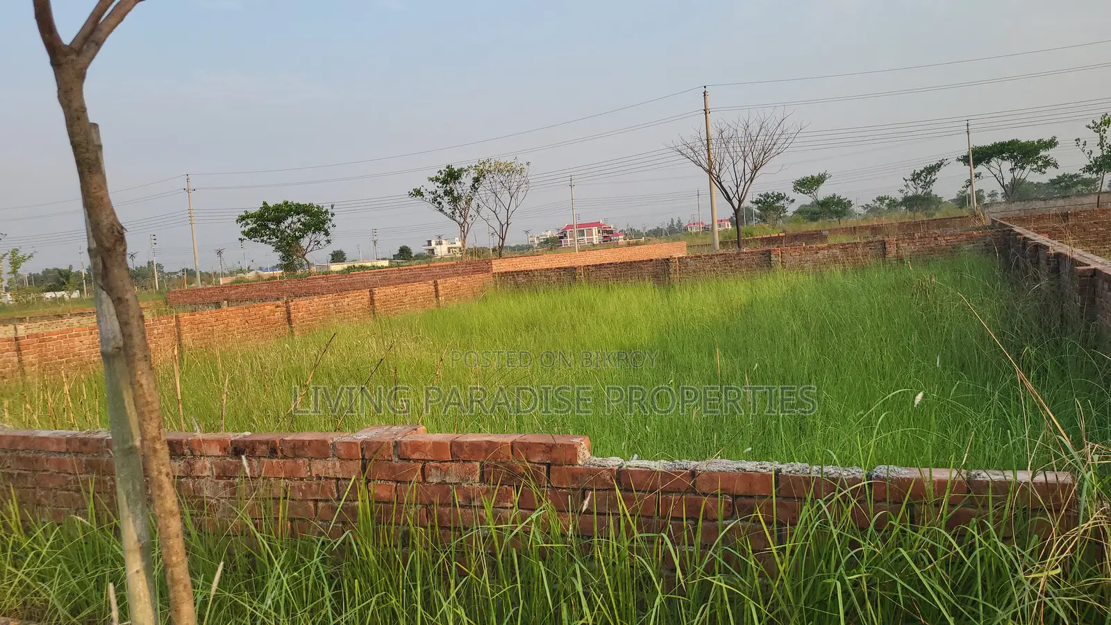 Block=P || North Face || Serial No- 5300 || Ready Plot Sale in Basundhara