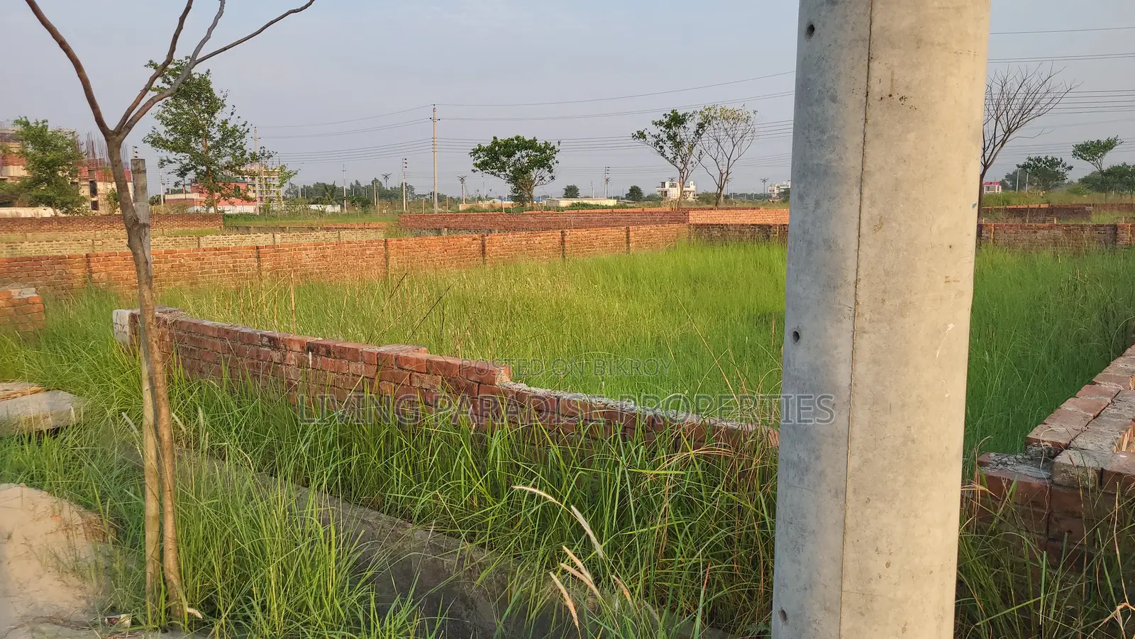 Block=P || North Face || Serial No- 5300 || Ready Plot Sale in Basundhara