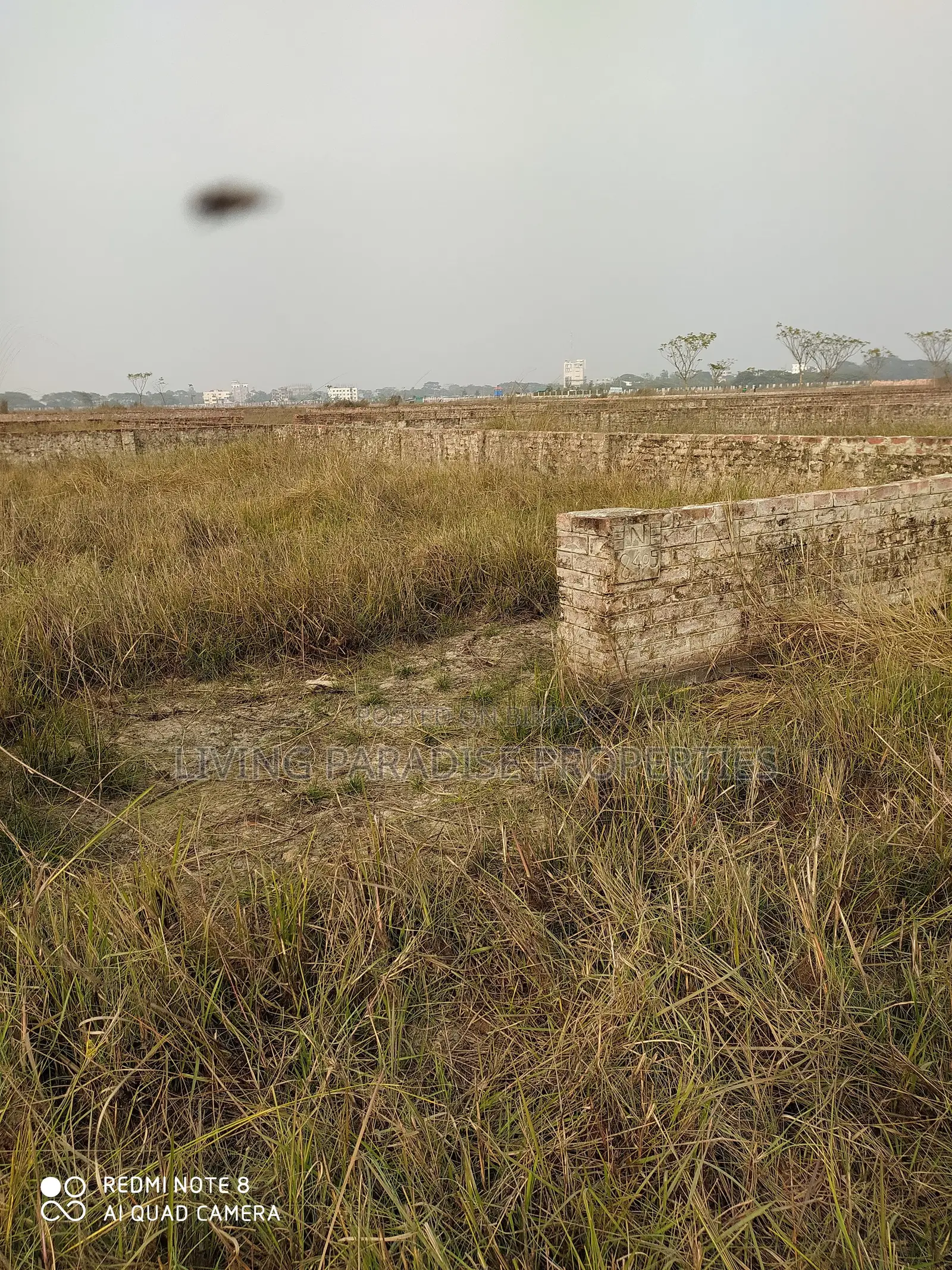 P-Extension || 4 Katha Plot || Serial = 1300 || Bashundhara R/A in Basundhara