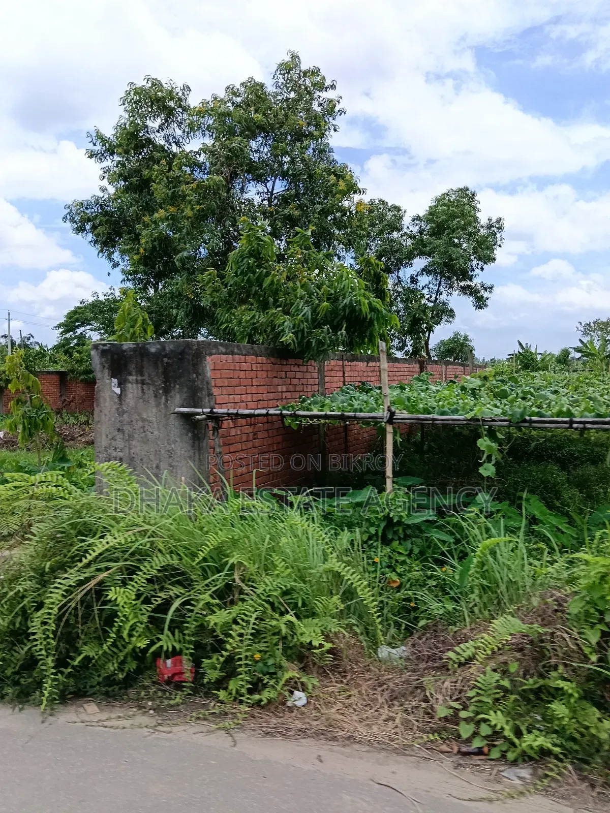 Sector-23, South Facing 3 Katha Plot for Sale in Purbachal
