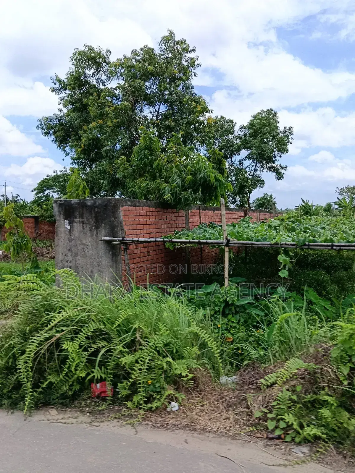 Sector-23, South Facing 3 Katha Plot for Sale in Purbachal