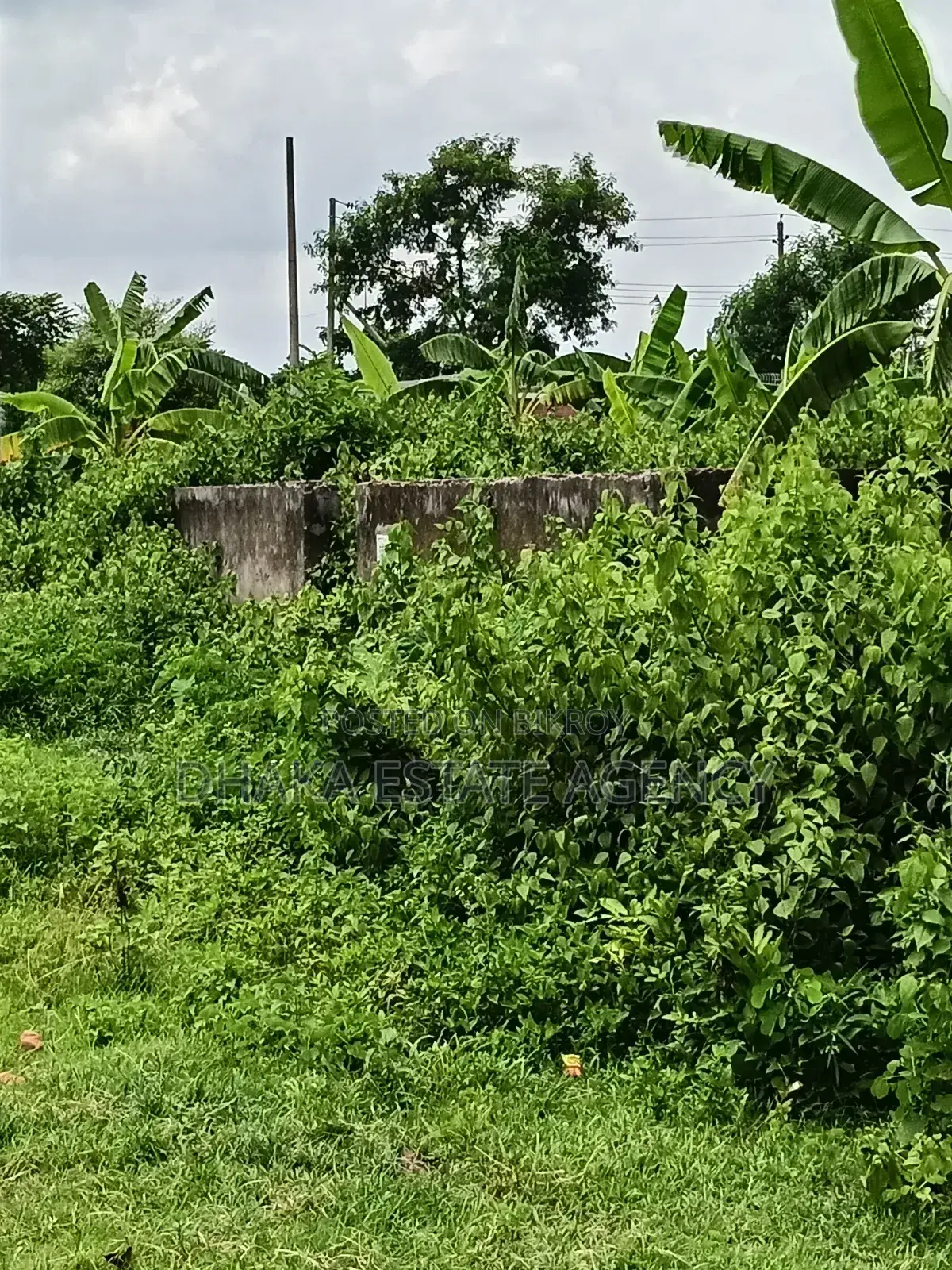 Aftab Nagar Block-M, 5.50 Katha Plot Sale in Aftab Nagar
