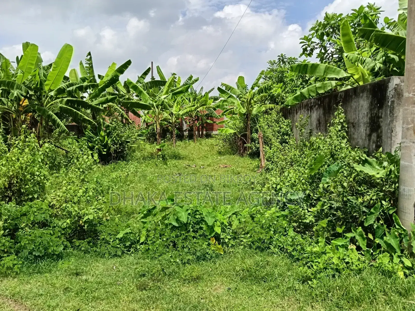 Aftab Nagar Block-M, 5.50 Katha Plot Sale in Aftab Nagar