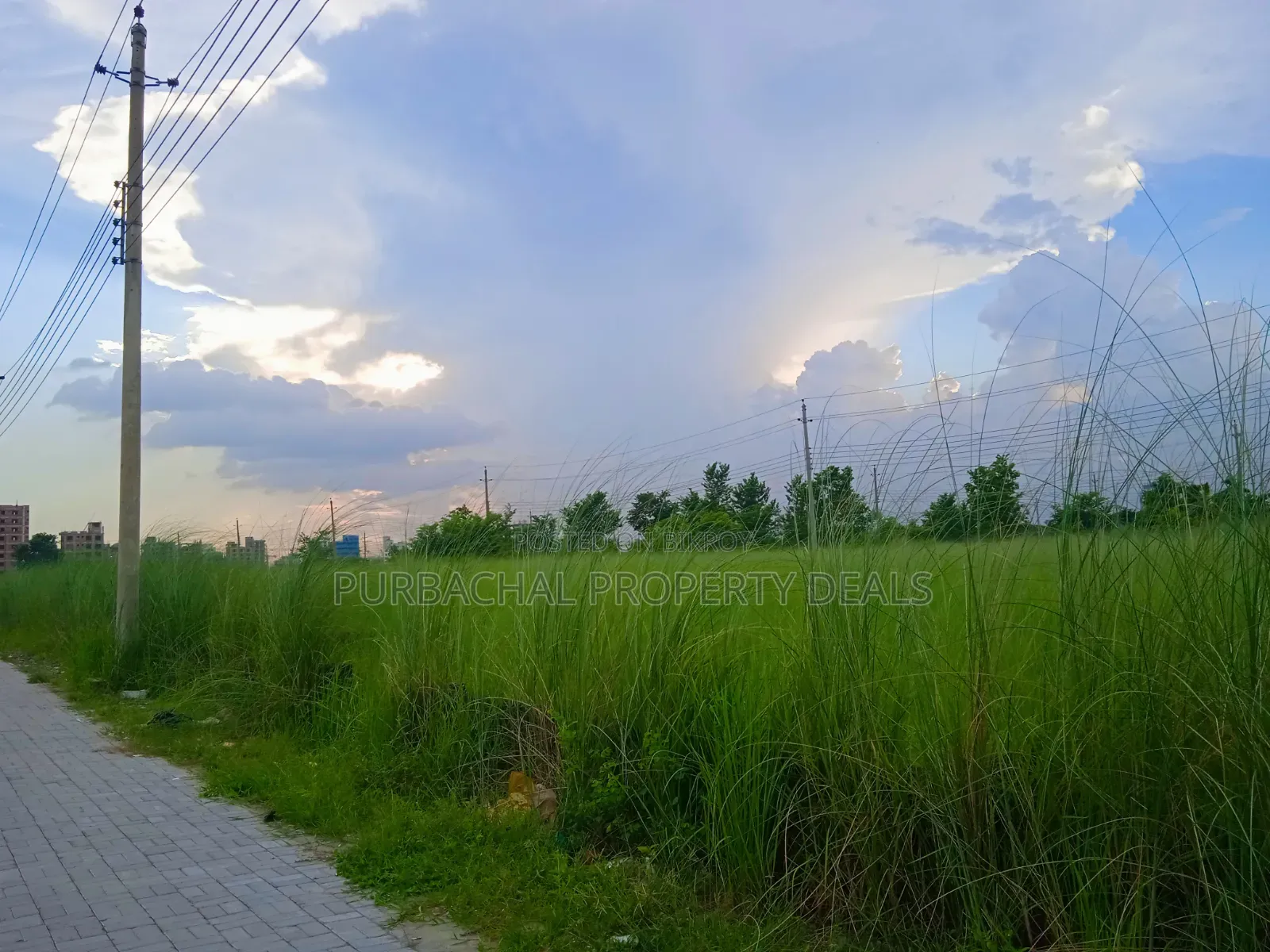 5 Katha Prime Plot for Sale in Bashundhara I-Ext! in Basundhara
