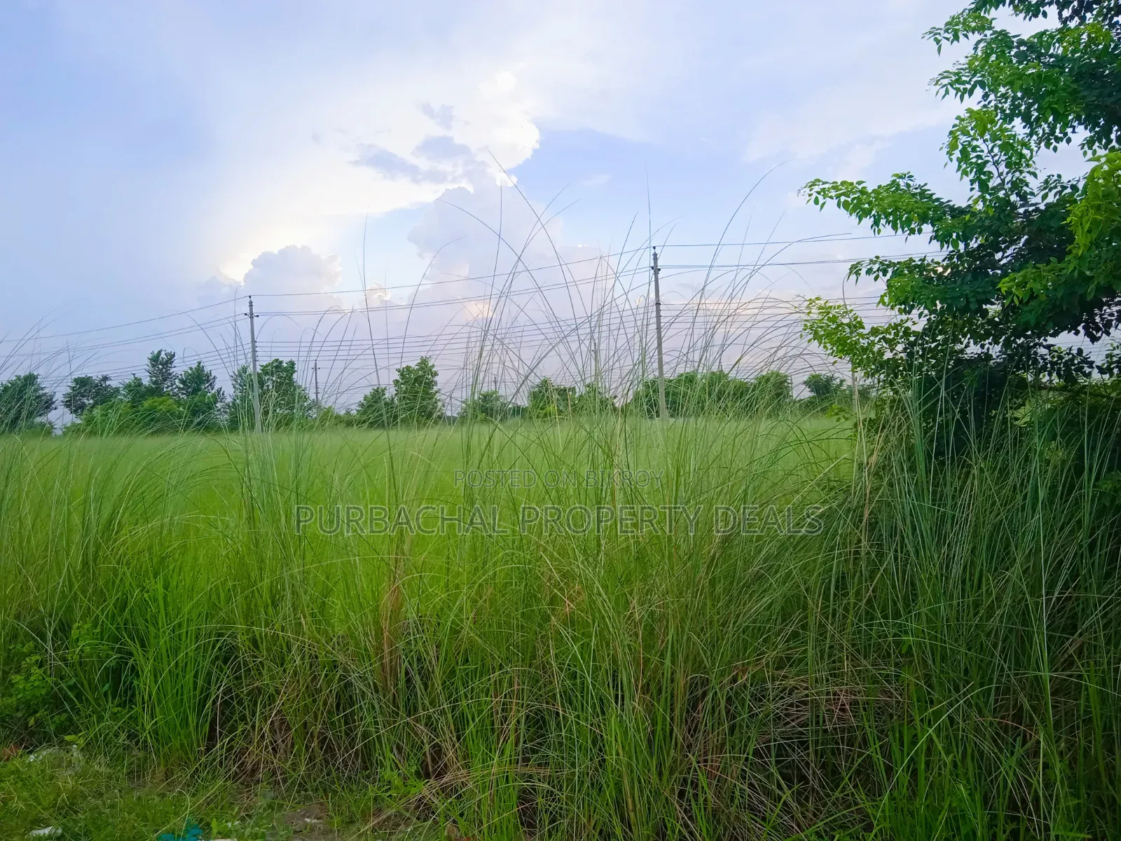 5 Katha Prime Plot for Sale in Bashundhara I-Ext! in Basundhara