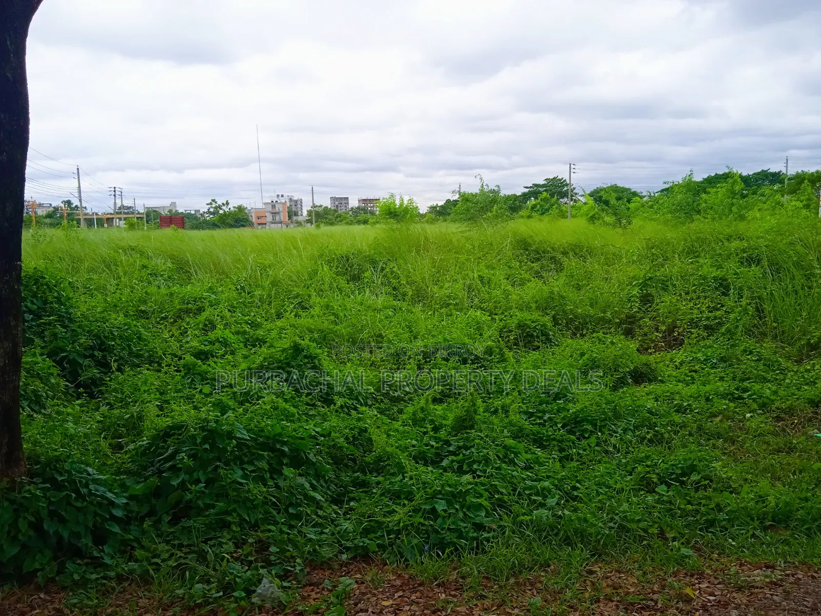 5 Katha Premium Plot for Sale in Bashundhara N Block in Basundhara