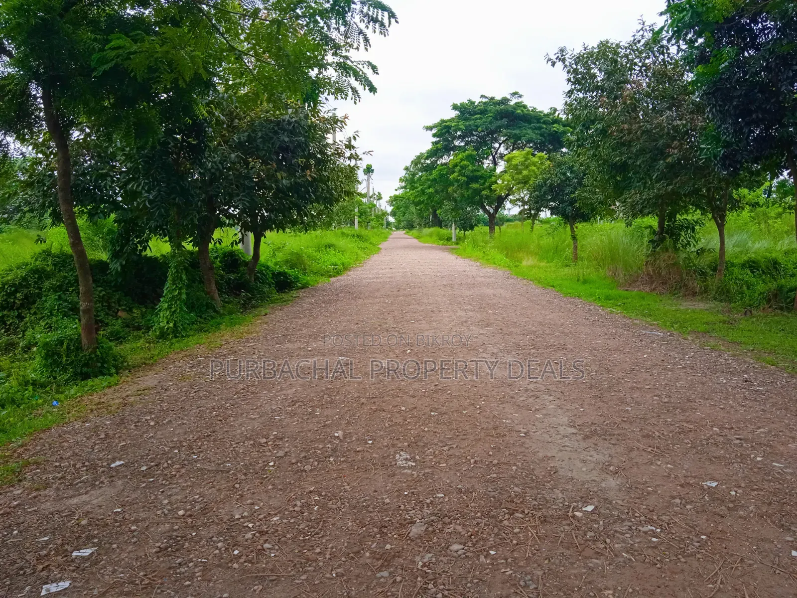 5 Katha Premium Plot for Sale in Bashundhara N Block in Basundhara