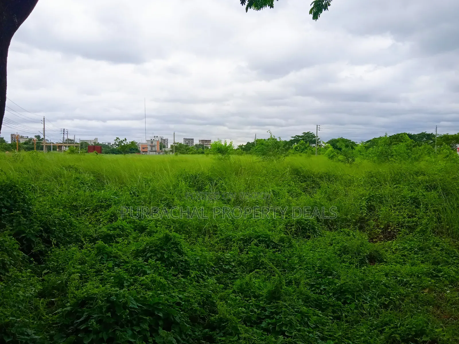 5 Katha Premium Plot for Sale in Bashundhara N Block in Basundhara