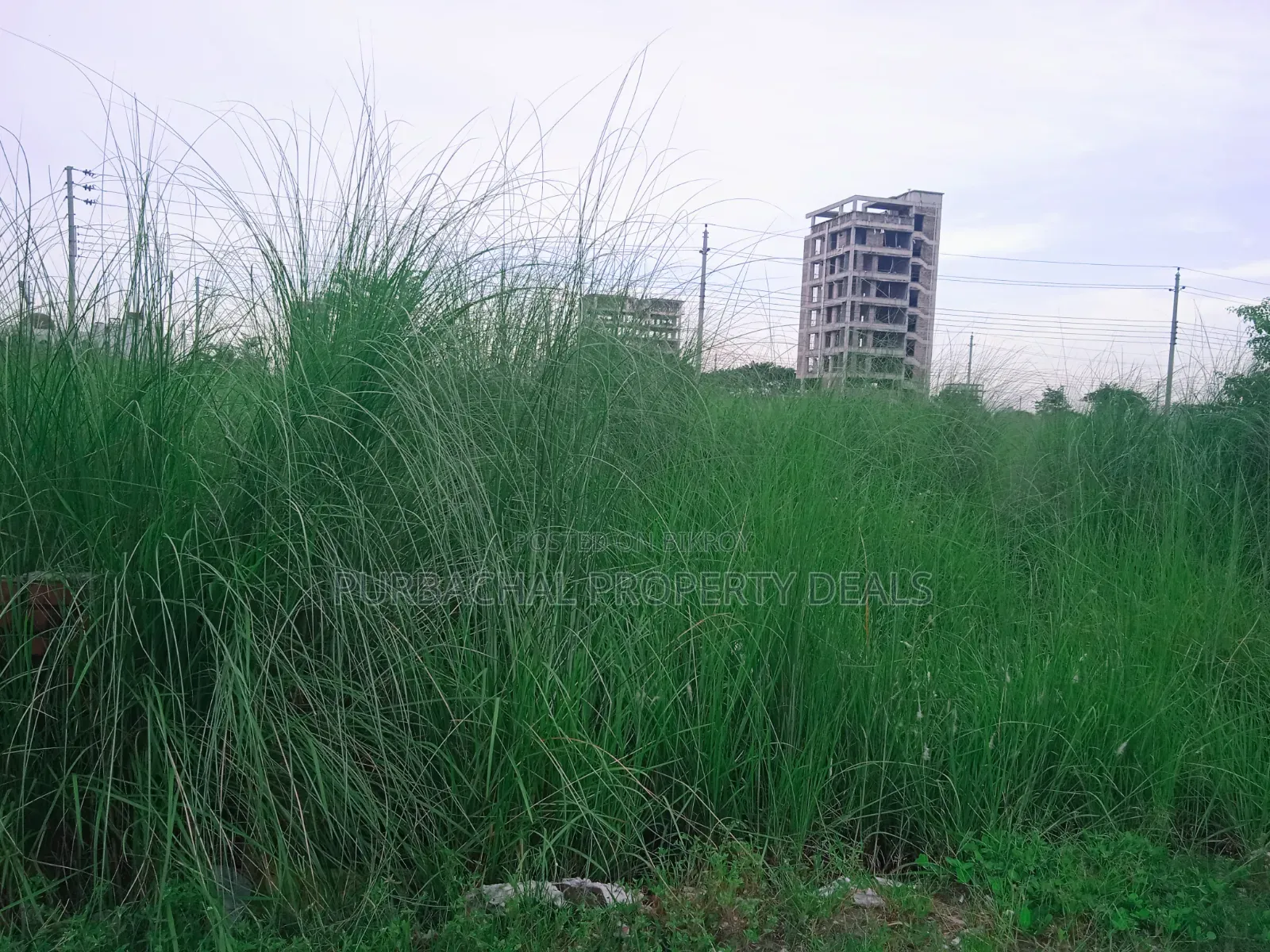 5 Katha Plot for Sale in Prime Location of G Block, Aftabnagar! in Aftab Nagar