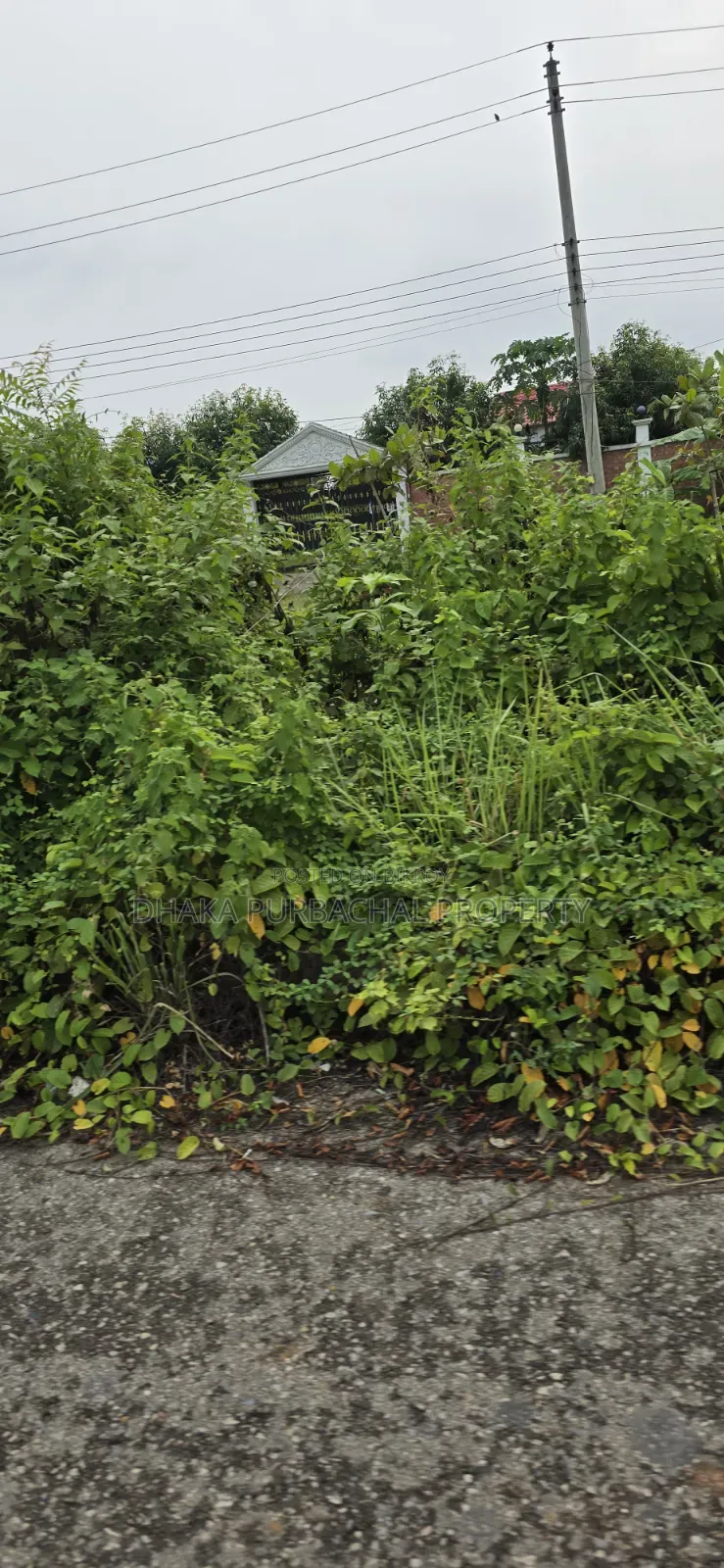 Rajuk Purbachal Sector -15 South Facing Plot Sell in Purbachal