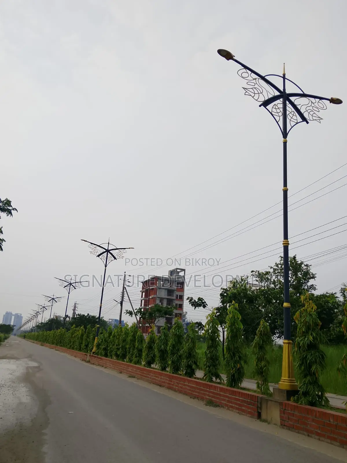 L-Block//3+3=6 Katha//Plot for Sale//In Bashundhara R/A in Basundhara