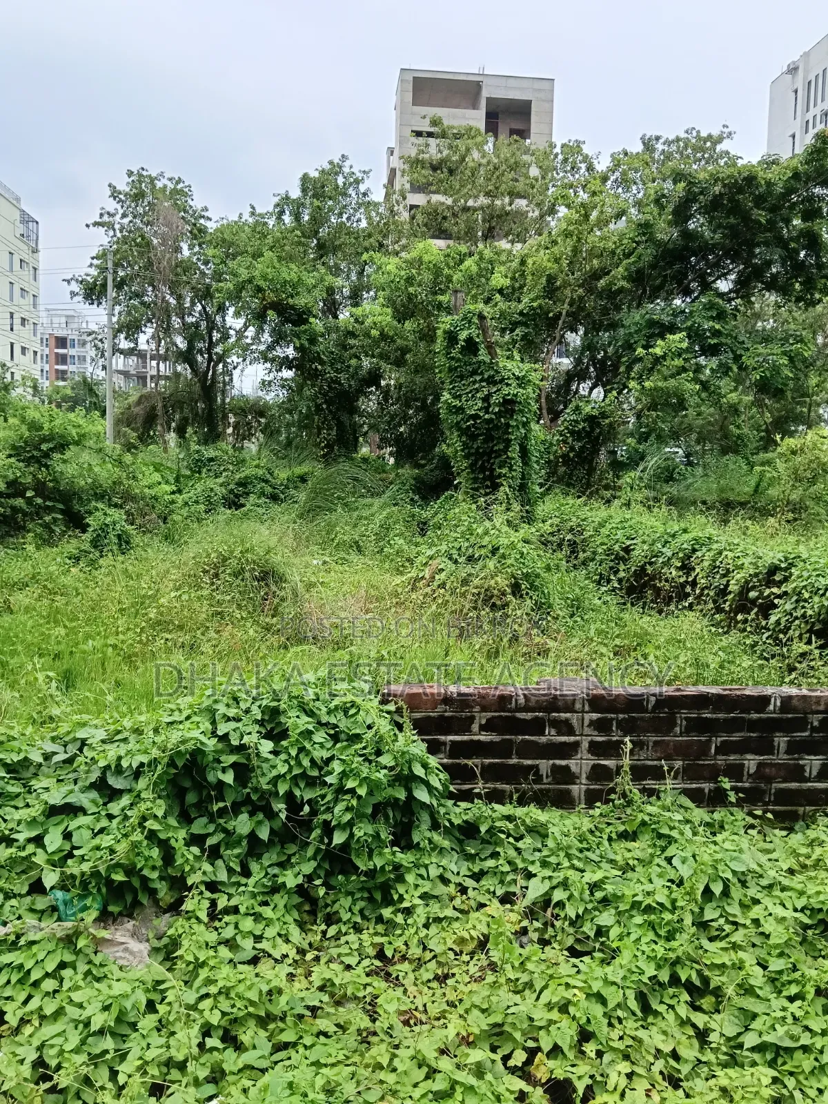 Bashundhara Block-N, 3 Katha Plot Sale in Basundhara