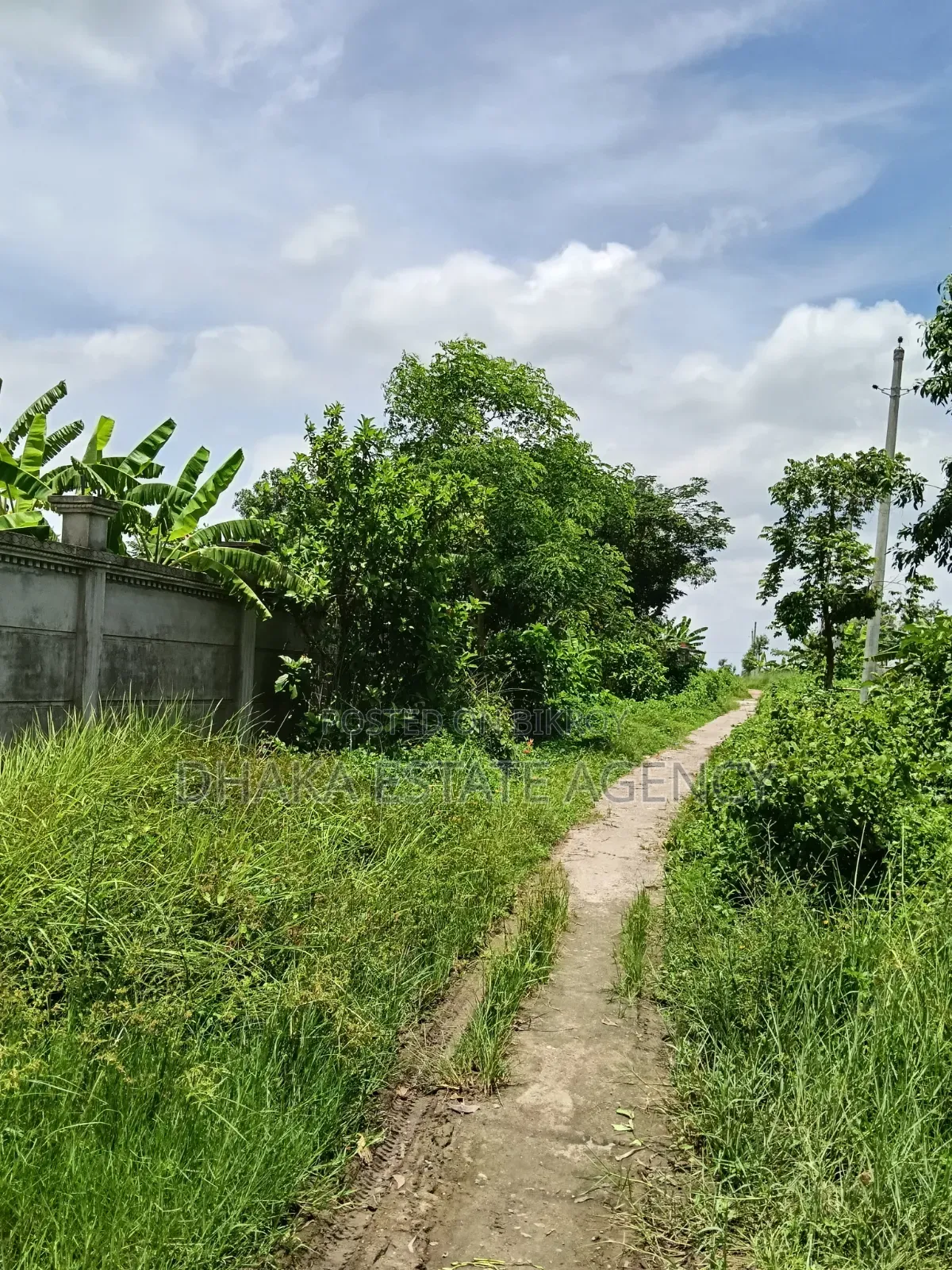 Block-I-Ext, 3+3=6 Katha Plot Sale in Basundhara