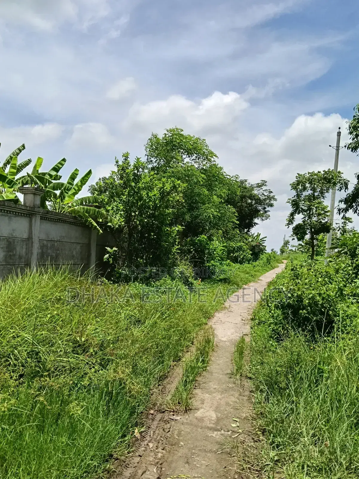 Block-I-Ext, 3+3=6 Katha Plot Sale in Basundhara