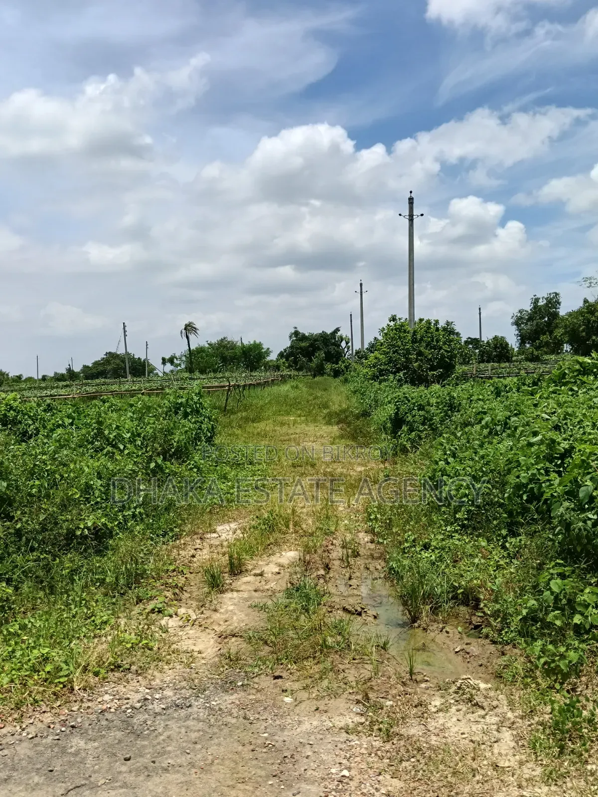 Rajuk Purbachal Sector-10 in Purbachal