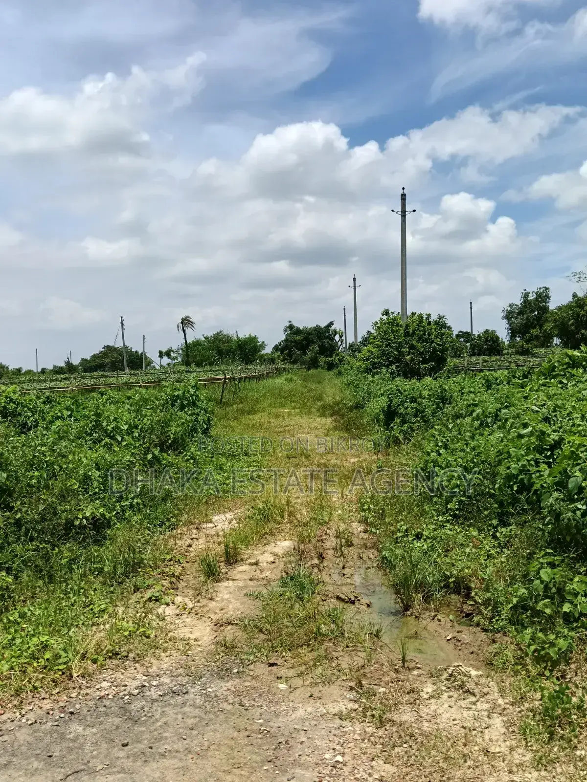 Rajuk Purbachal Sector-10 in Purbachal