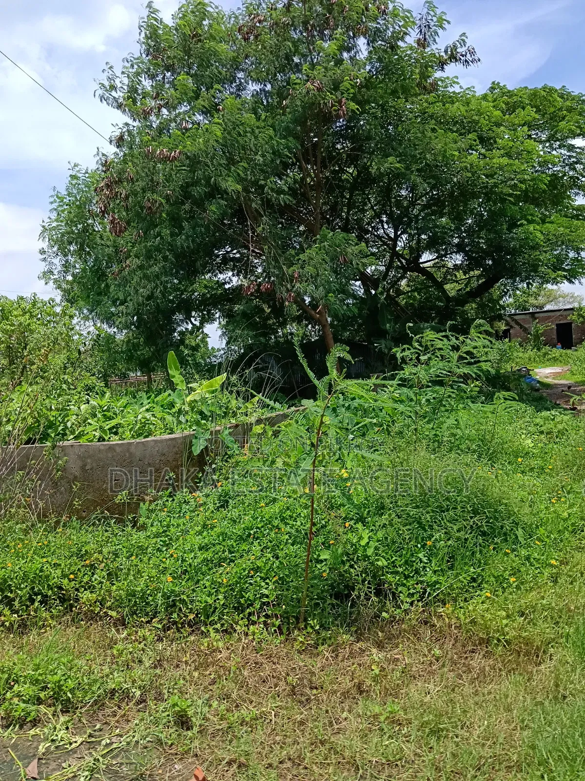 Rajuk Purbachal Sector-25, South Face 3 Katha Plot Sale in Purbachal