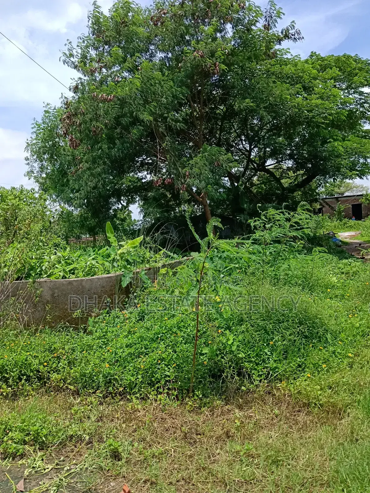 Rajuk Purbachal Sector-25, South Face 3 Katha Plot Sale in Purbachal