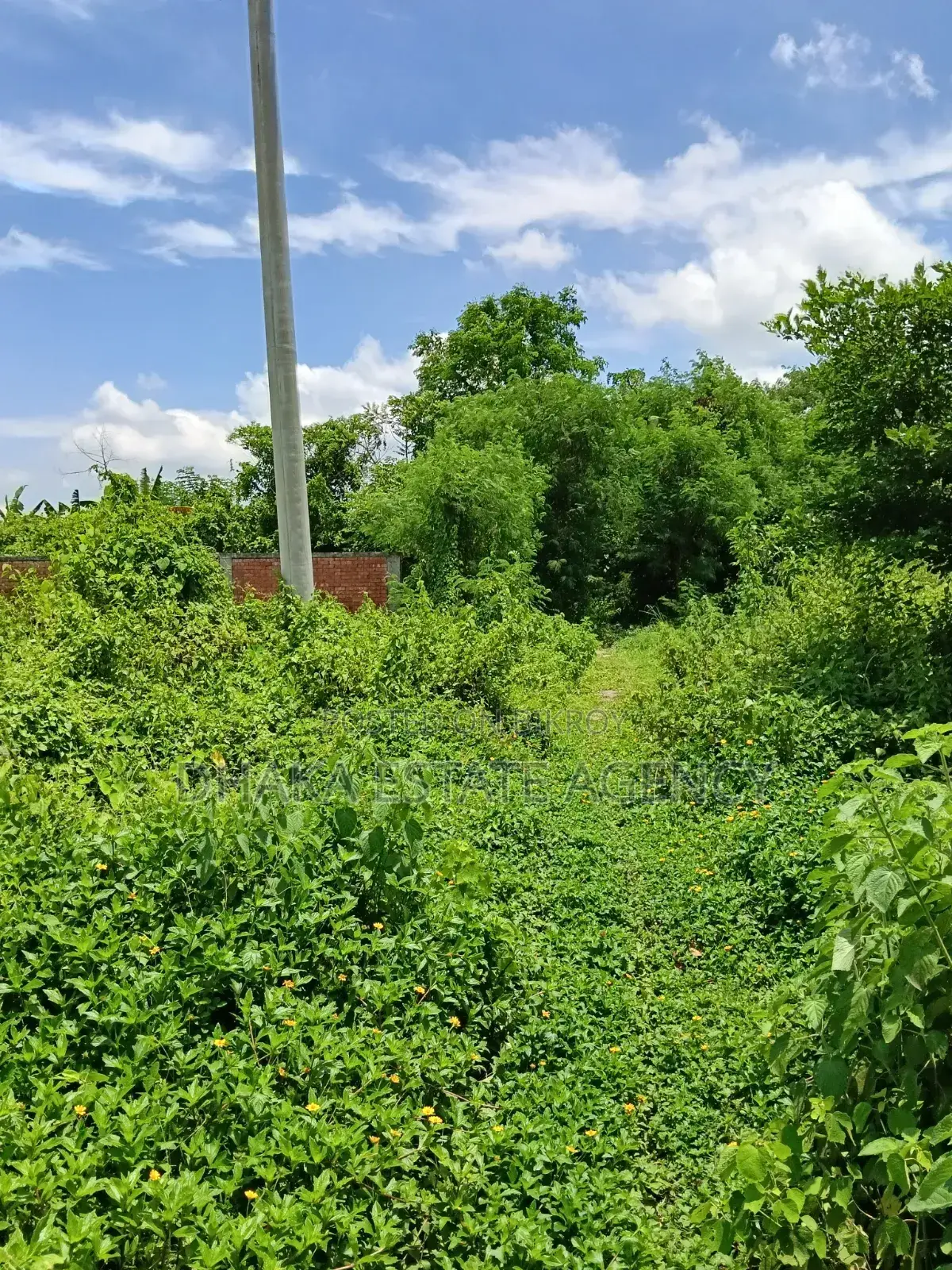 Sector- 26, Urgent 5 Katha Plot Sale in Purbachal