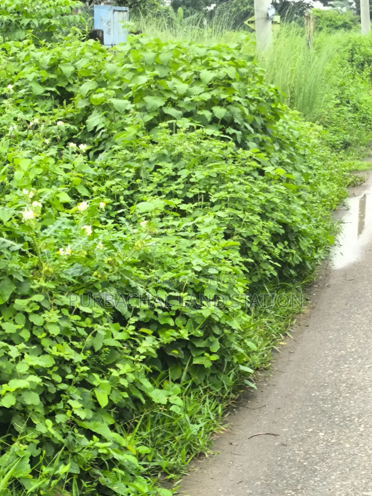 Near Moyzuddin Square East 5 Katha Plot Sale Sector:15, Purbachal. in Purbachal