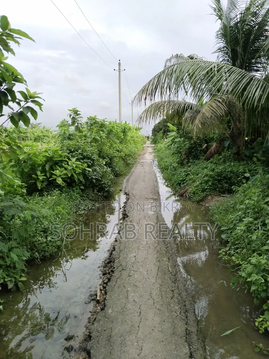 5 Katha Plot Sector #20, Purbachal, Dhaka in Purbachal